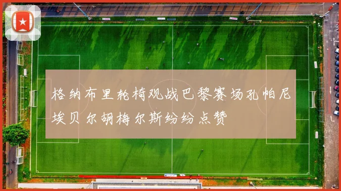 格纳布里轮椅观战巴黎赛场孔帕尼埃贝尔胡梅尔斯纷纷点赞