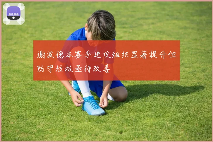 谢泼德本赛季进攻组织显著提升但防守短板亟待改善