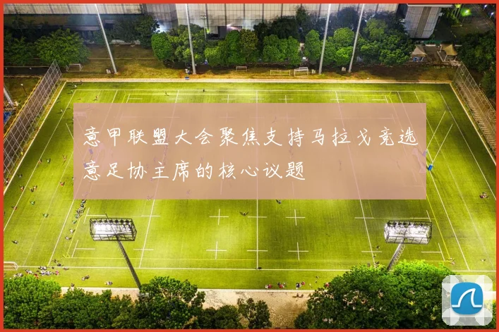 意甲联盟大会聚焦支持马拉戈竞选意足协主席的核心议题
