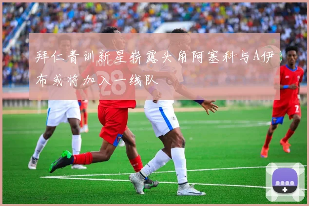 拜仁青训新星崭露头角阿塞科与A伊布或将加入一线队