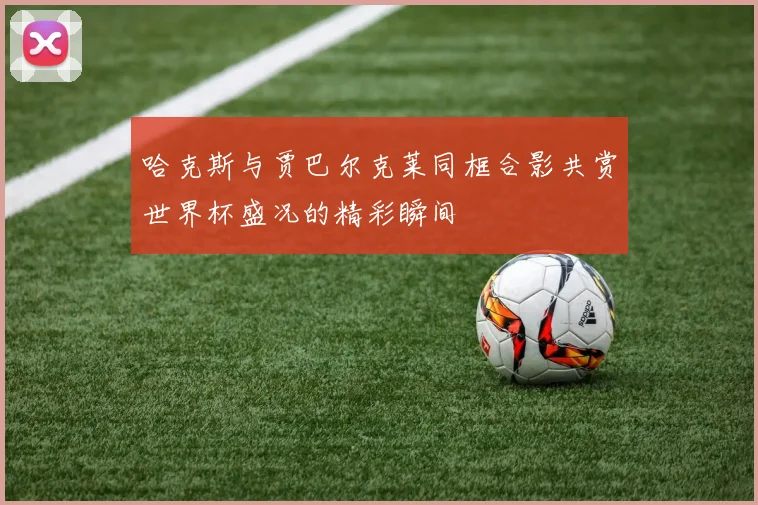哈克斯与贾巴尔克莱同框合影共赏世界杯盛况的精彩瞬间